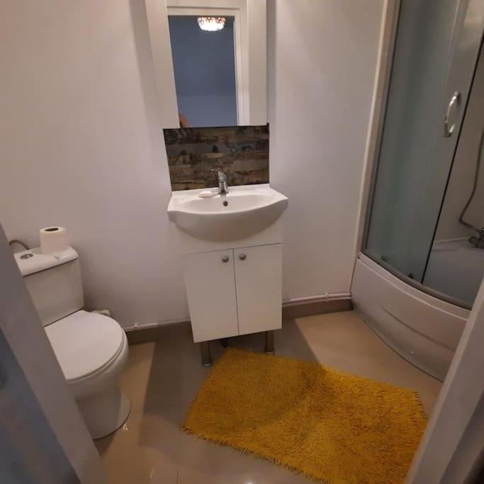Apartament In Zona Catedralei Mitropolitane Iasi Exterior photo